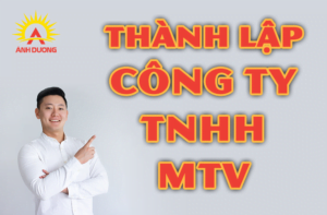 Thủ tục thành lập công ty TNHH Một thành viên